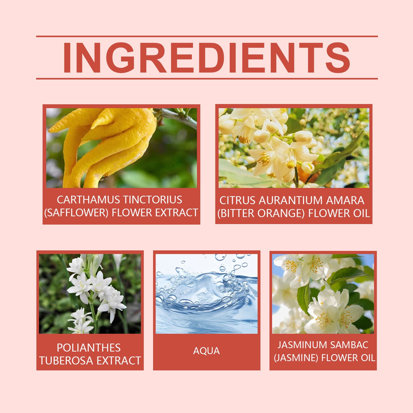 Roxel | Elegant eau de Parfum